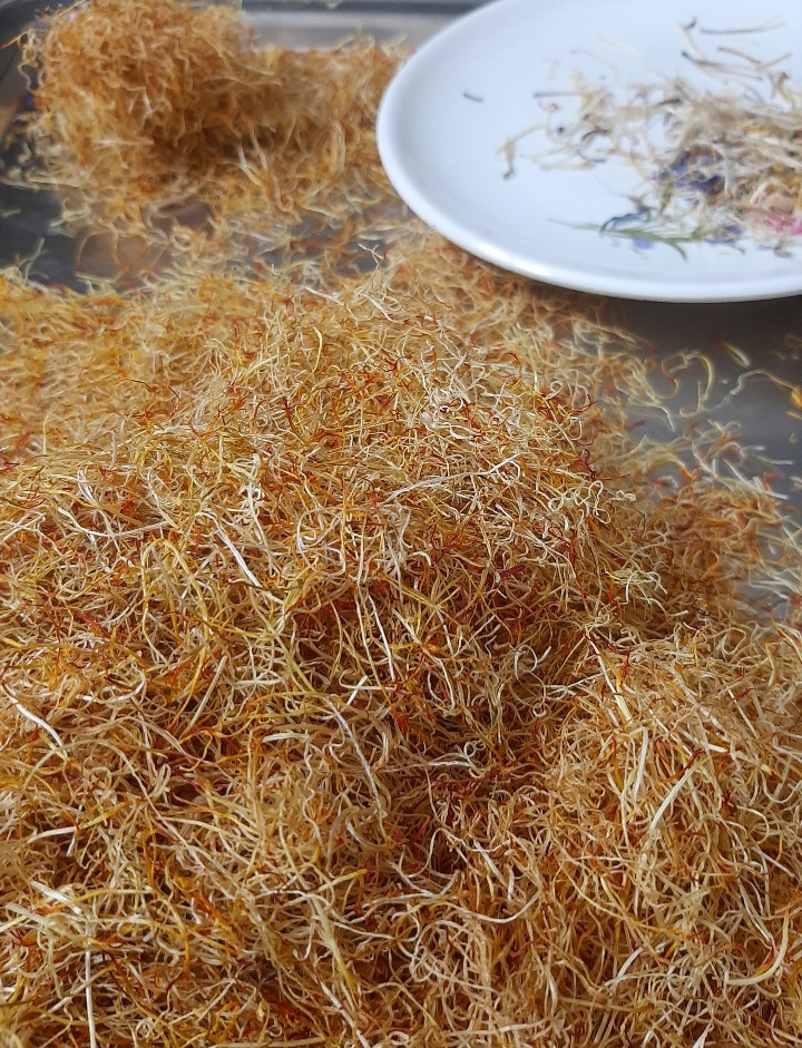 خرید ریشه زعفران پرسرخ اصل خراسان | زعفران نرگس